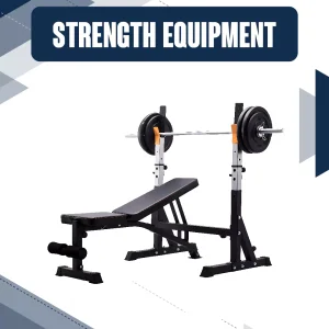 Exercise Bench
