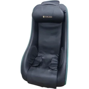 Massage Chair Shiatsu Massage
