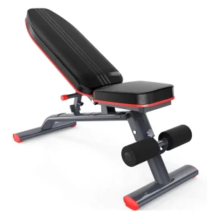 Weightlifting Sit-up Exercise Bench