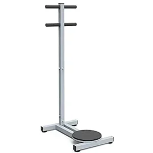 Waist Twister Machine