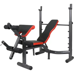 Weightlifting Bench with Preacher Curl & Leg Developer