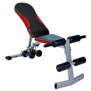 Adjustable Dumbbell Workout Bench
