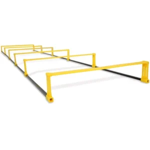 2-in-1 Speed and Agility Ladder with Hurdles